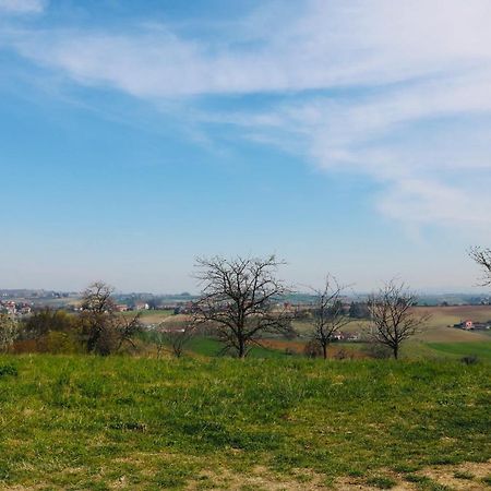 La Casa Dei Nonni Lejlighed Pino Torinese Eksteriør billede